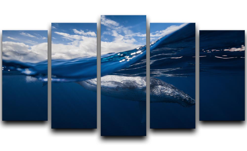 Humpback Whale And The Sky 5 Split Panel Canvas - Canvas Art Rocks - 1