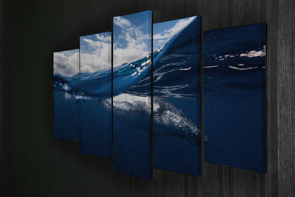 Humpback Whale And The Sky 5 Split Panel Canvas - Canvas Art Rocks - 2