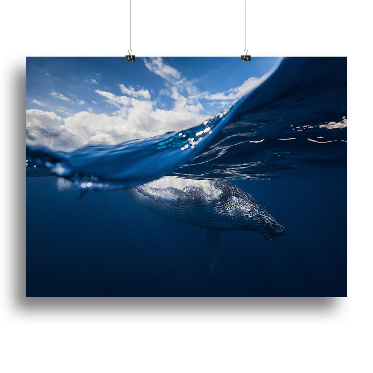 Humpback Whale And The Sky Canvas Print or Poster - Canvas Art Rocks - 2