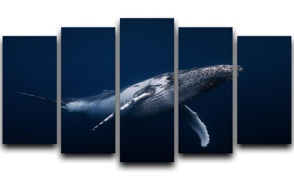 Humpback Whale In Blue 5 Split Panel Canvas - Canvas Art Rocks - 1