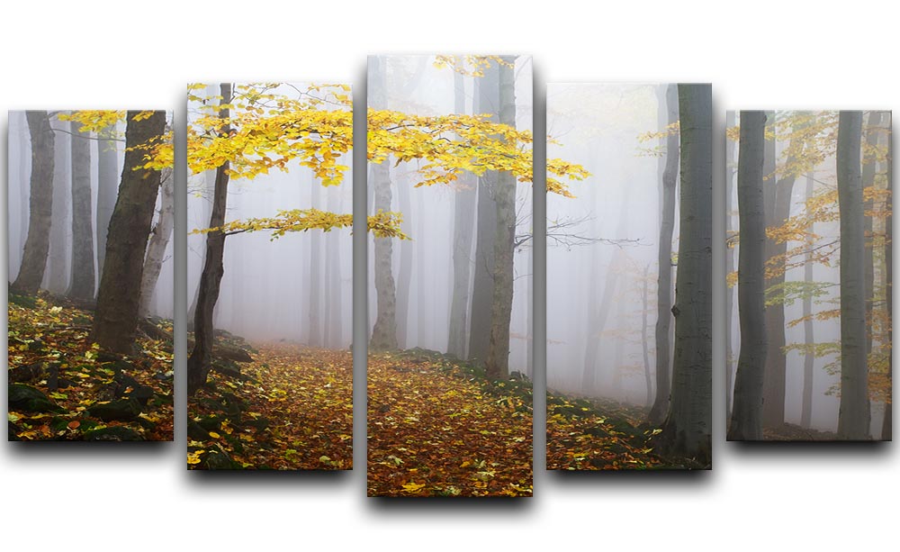 Autumn Fall Landscape 5 Split Panel Canvas - Canvas Art Rocks - 1