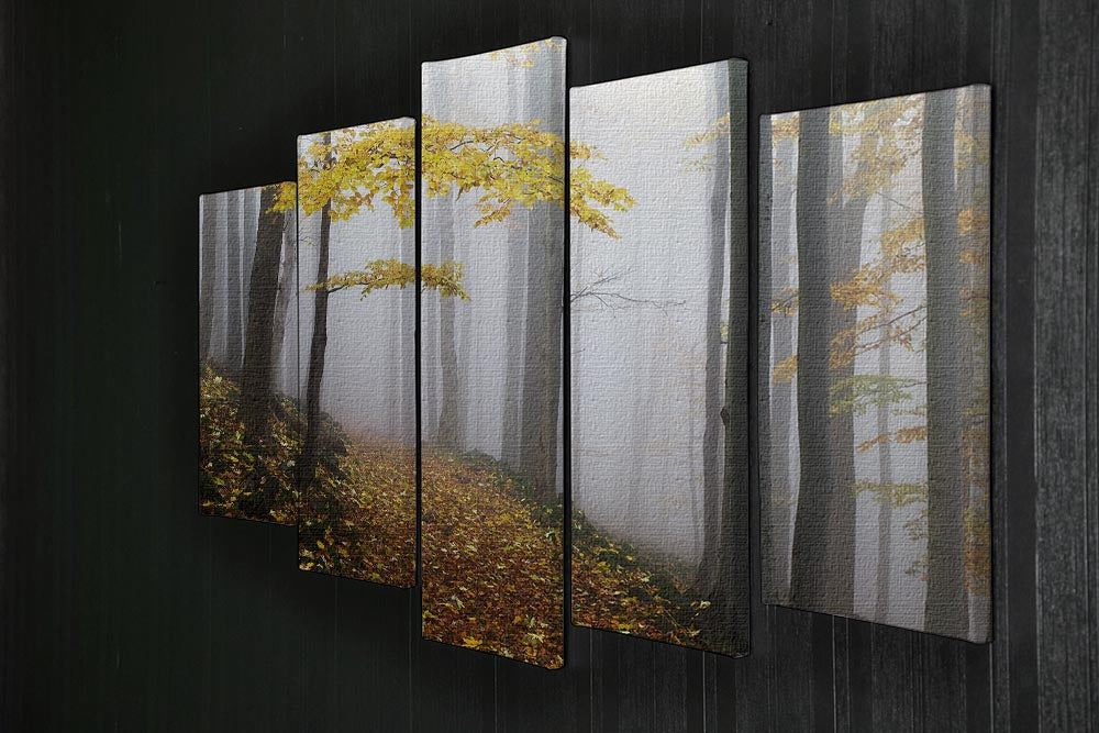 Autumn Fall Landscape 5 Split Panel Canvas - Canvas Art Rocks - 2