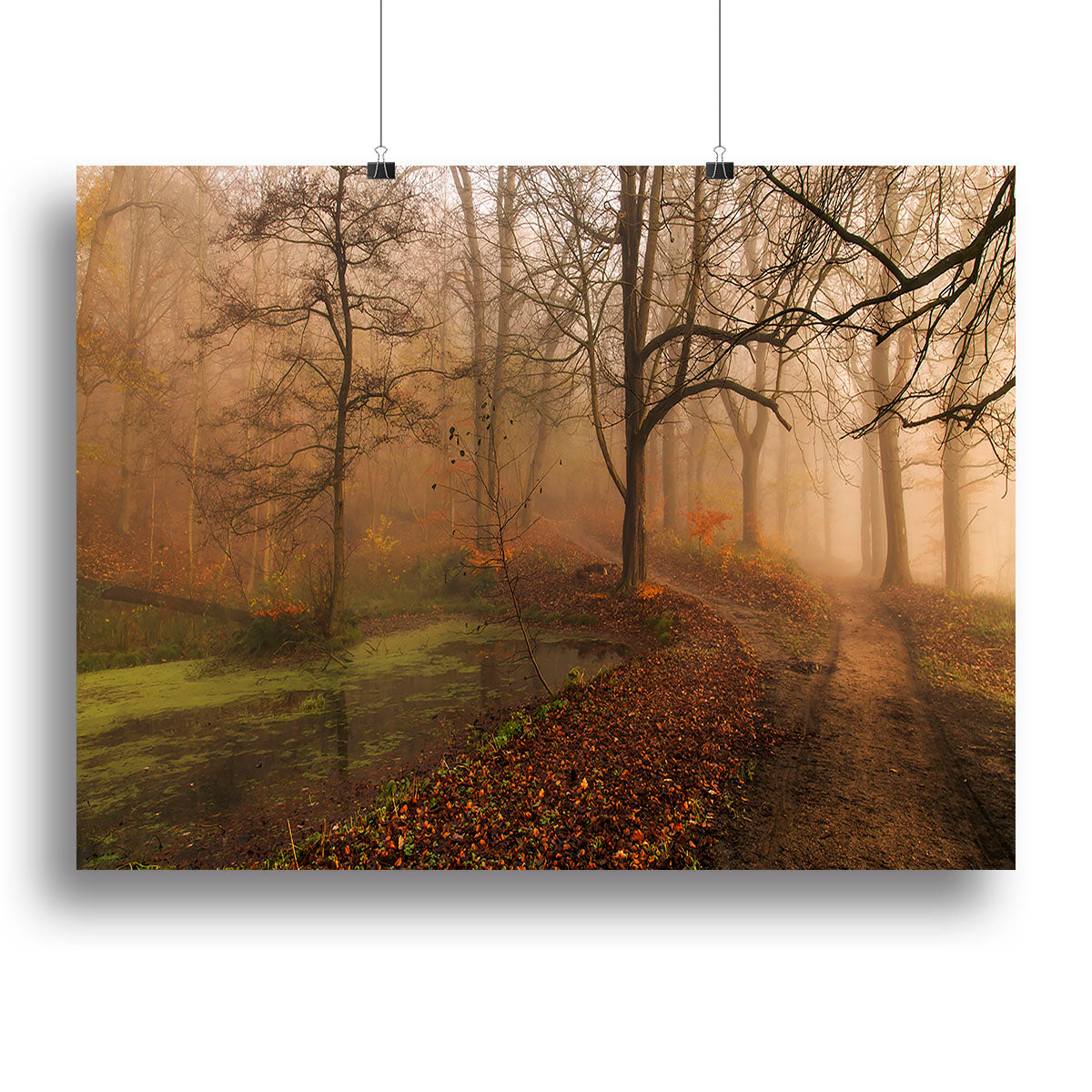 Which Path Ii Canvas Print or Poster - Canvas Art Rocks - 2