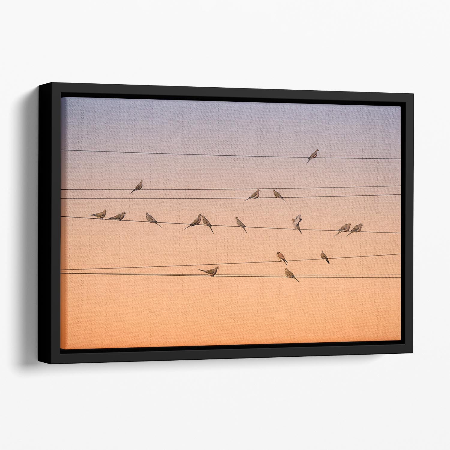 Sunrise Birds Floating Framed Canvas - Canvas Art Rocks - 1
