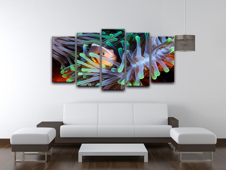 Clownfish 5 Split Panel Canvas - Canvas Art Rocks - 3
