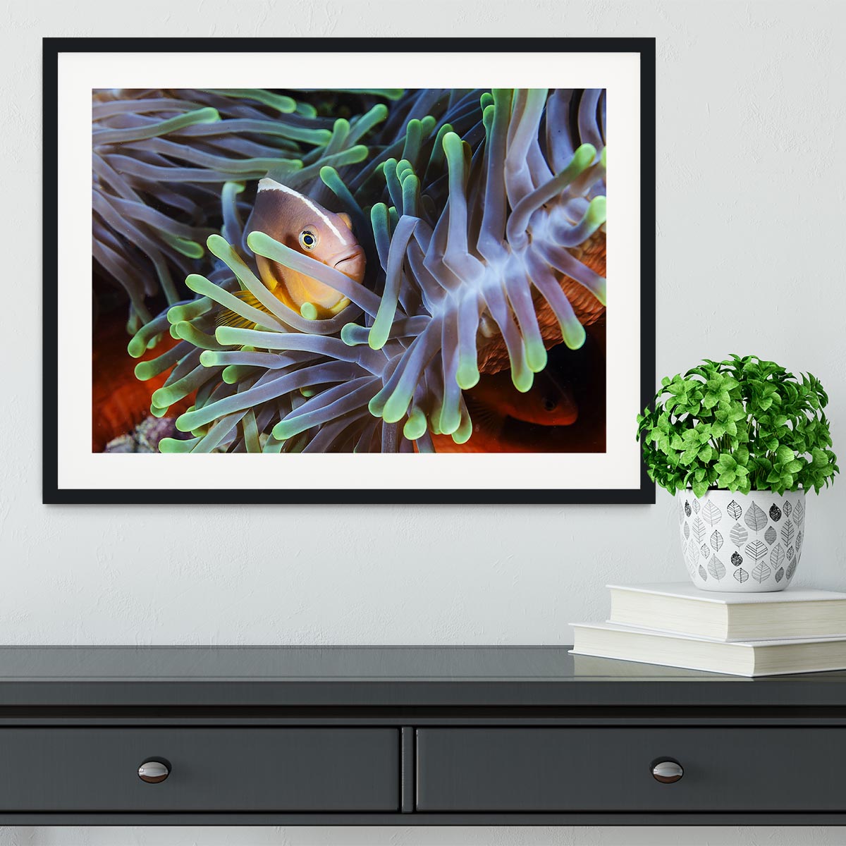 Clownfish Framed Print - Canvas Art Rocks - 1