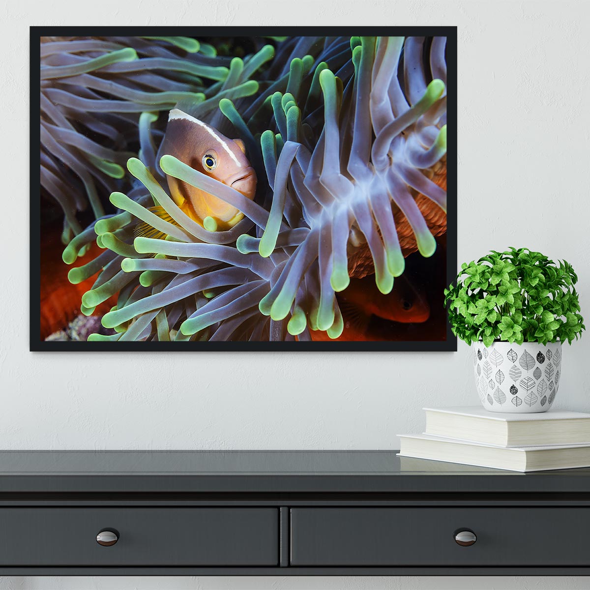 Clownfish Framed Print - Canvas Art Rocks - 2