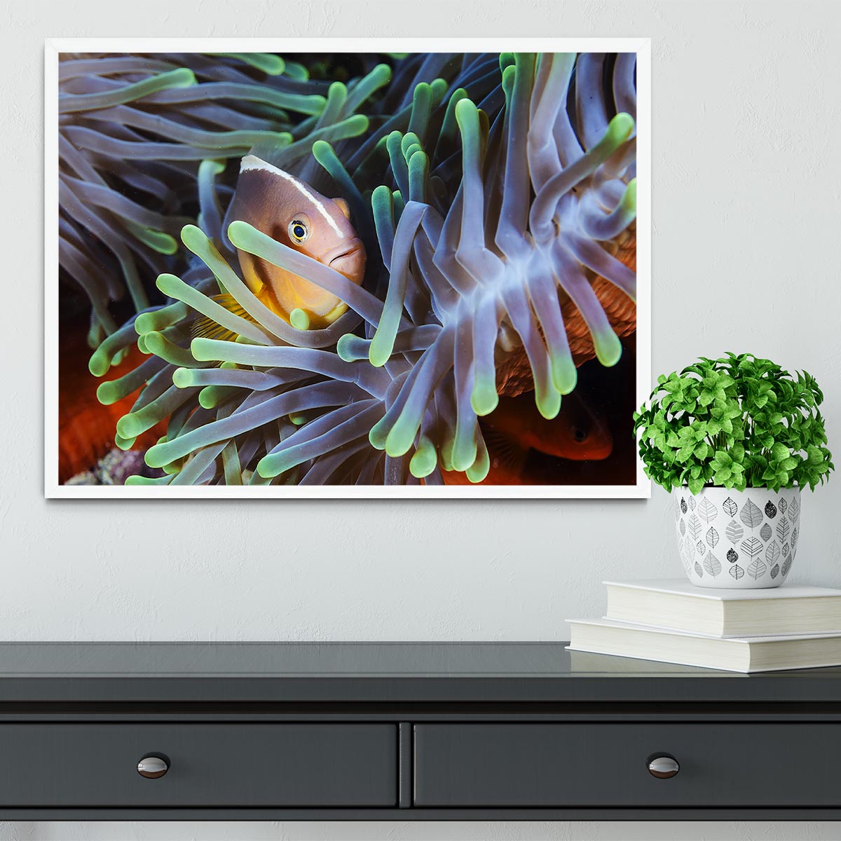 Clownfish Framed Print - Canvas Art Rocks -6
