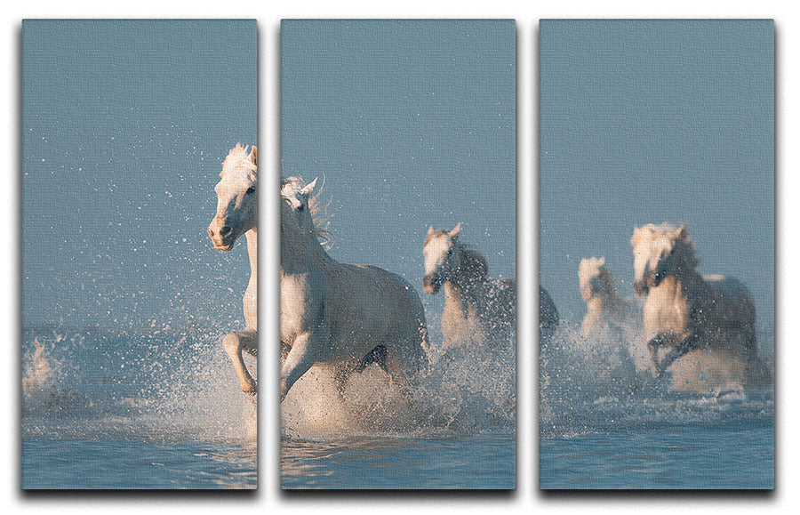 Wite Horses Running In Water 3 Split Panel Canvas Print - Canvas Art Rocks - 1