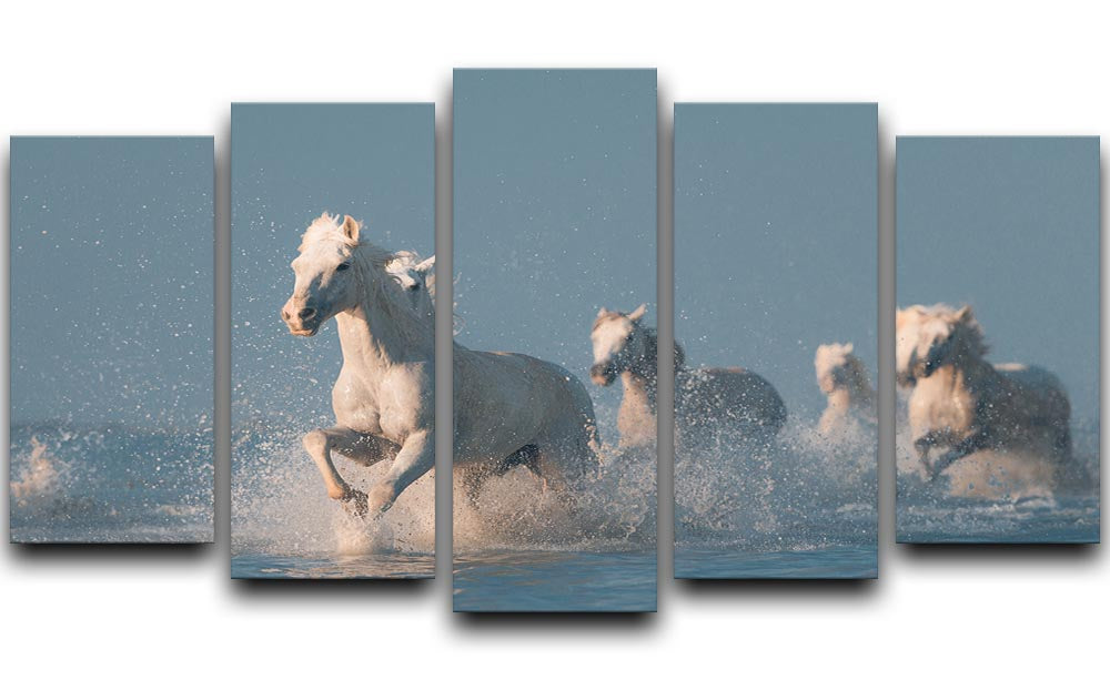 Wite Horses Running In Water 5 Split Panel Canvas - Canvas Art Rocks - 1