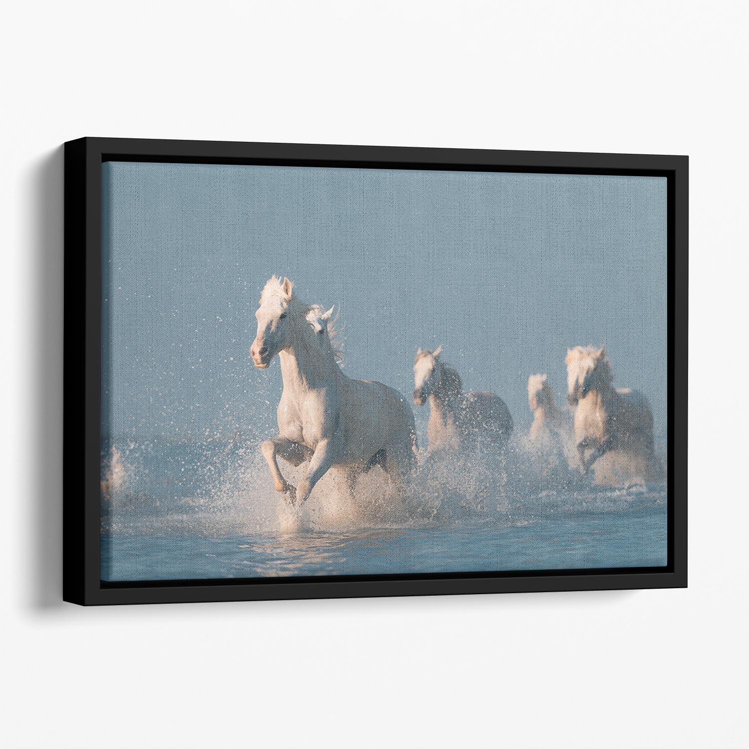Wite Horses Running In Water Floating Framed Canvas - Canvas Art Rocks - 1