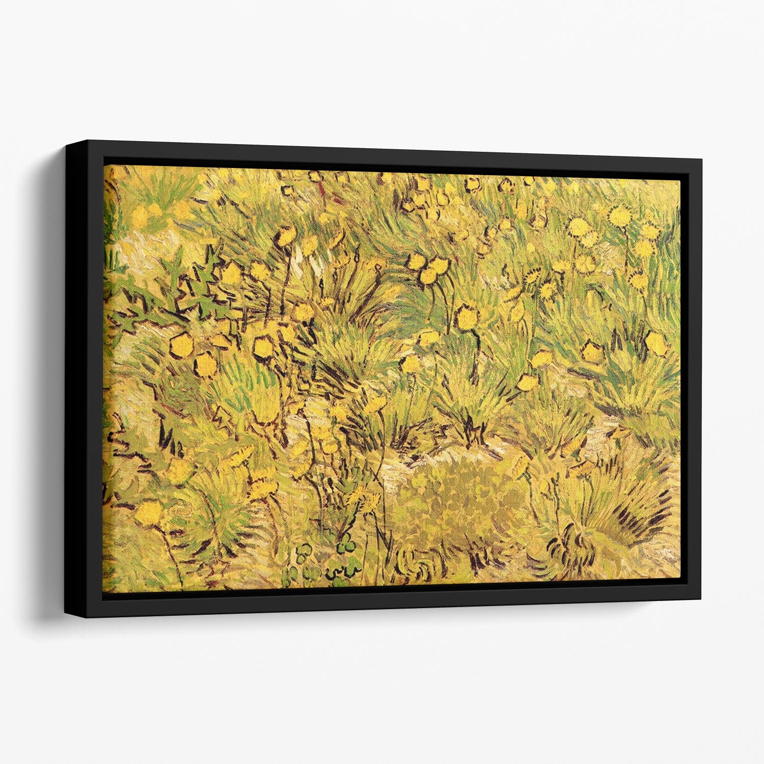 A Field of Yellow Flowers by Van Gogh Floating Framed Canvas