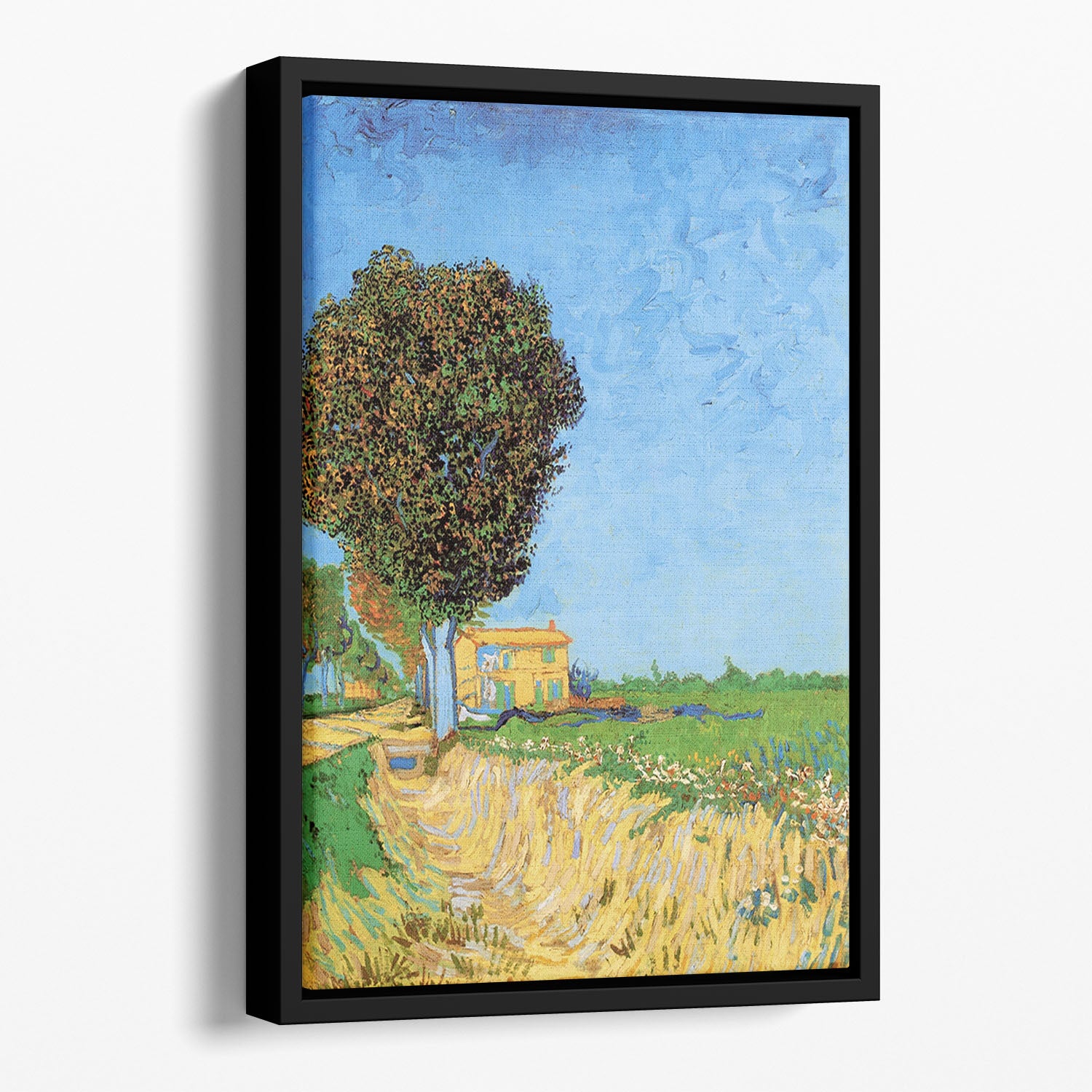 A Lane near Arles by Van Gogh Floating Framed Canvas