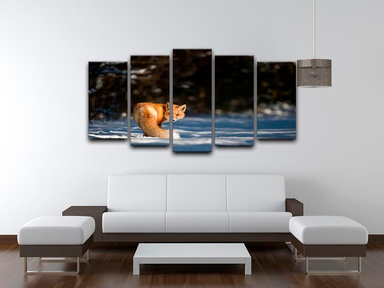 A Red Fox turns back to look at the camera 5 Split Panel Canvas - Canvas Art Rocks - 3