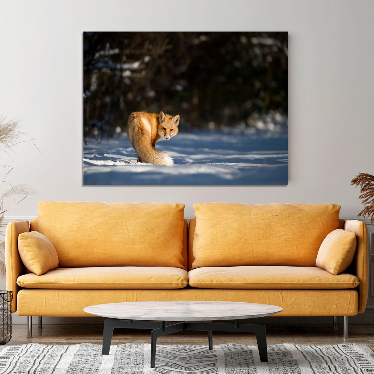 A Red Fox turns back to look at the camera Canvas Print or Poster - Canvas Art Rocks - 4