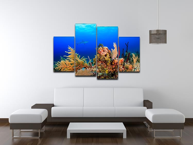 A Reef shark swimming on a tropical coral reef 4 Split Panel Canvas - Canvas Art Rocks - 3