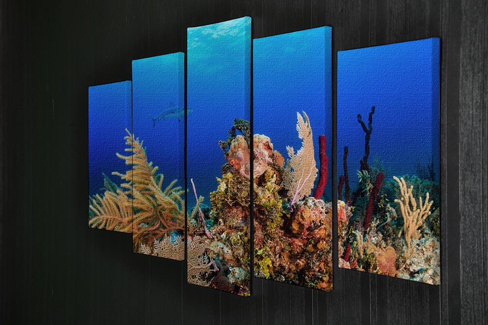 A Reef shark swimming on a tropical coral reef 5 Split Panel Canvas - Canvas Art Rocks - 2
