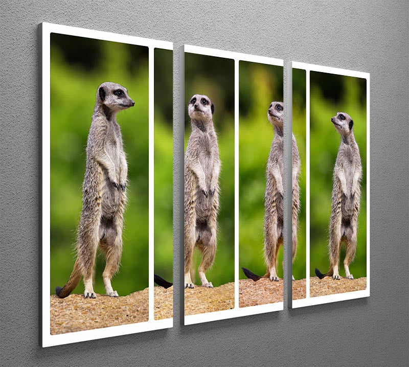 A collage of meerkats 3 Split Panel Canvas Print - Canvas Art Rocks - 2