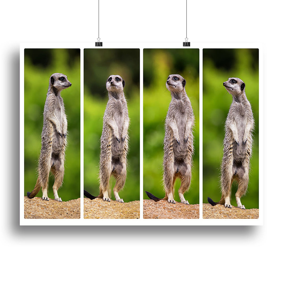 A collage of meerkats Canvas Print or Poster - Canvas Art Rocks - 2