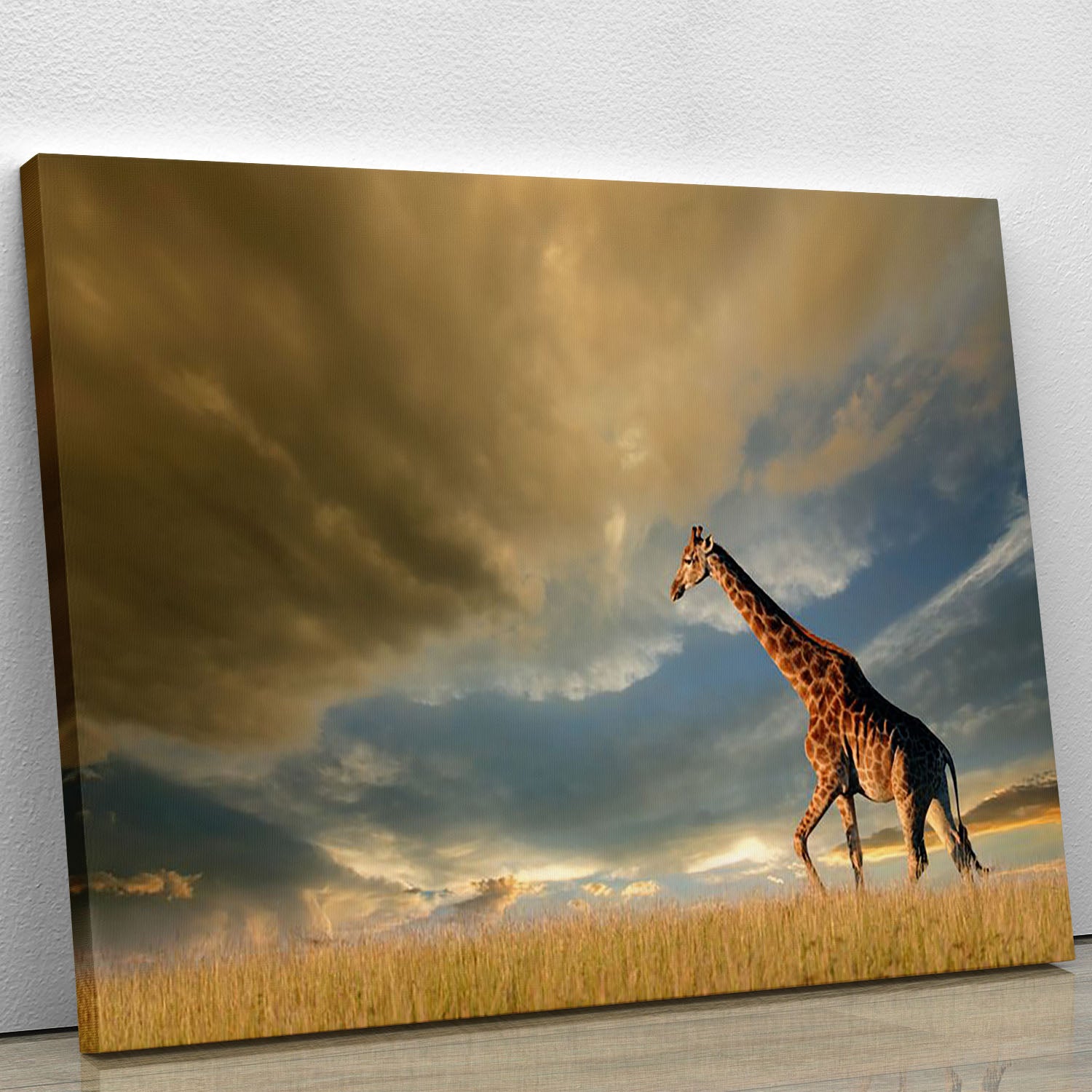A giraffe walking on the African plains against a dramatic sky Canvas Print or Poster - Canvas Art Rocks - 1