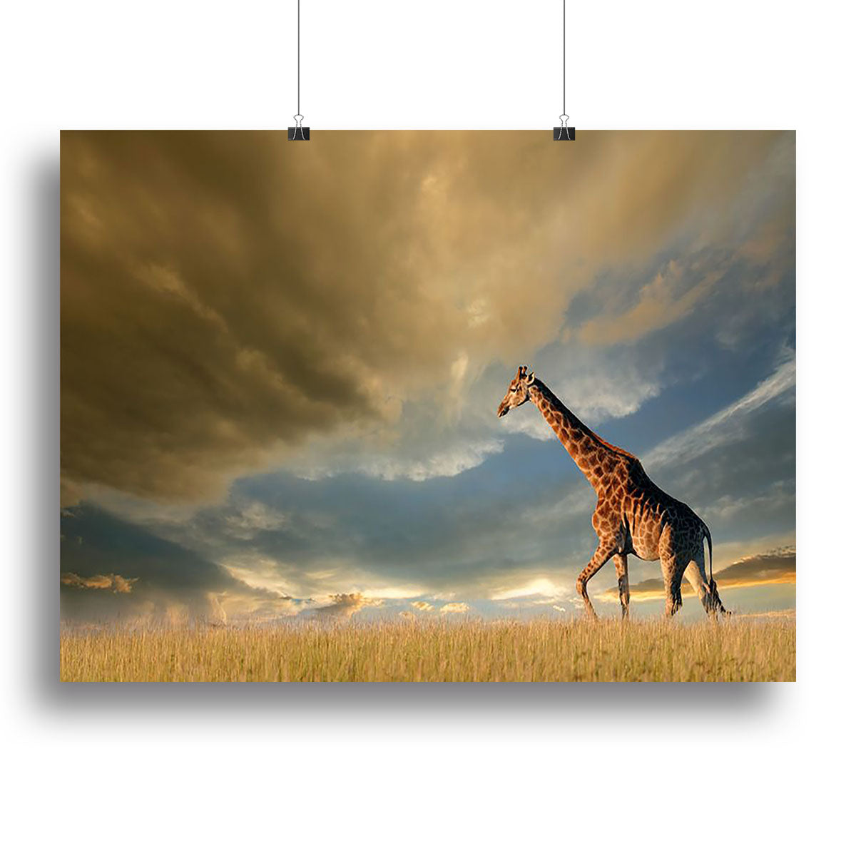 A giraffe walking on the African plains against a dramatic sky Canvas Print or Poster - Canvas Art Rocks - 2