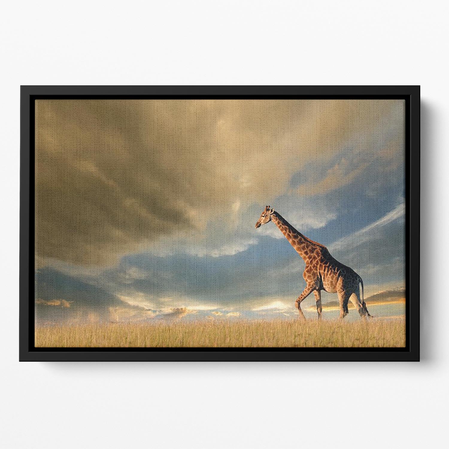 A giraffe walking on the African plains against a dramatic sky Floating Framed Canvas - Canvas Art Rocks - 2