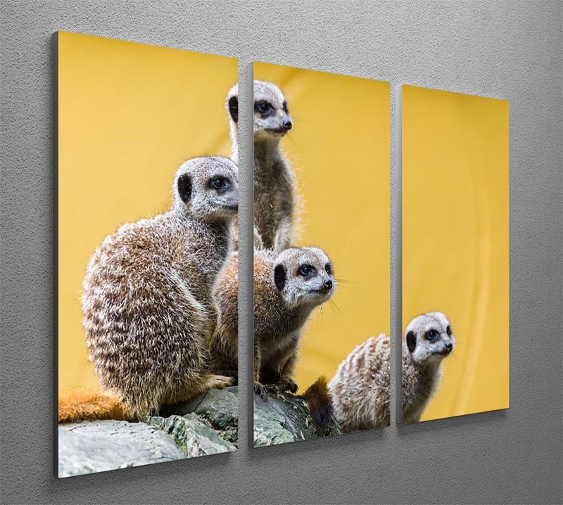 A group of meerkats seen on top of a rock 3 Split Panel Canvas Print - Canvas Art Rocks - 2