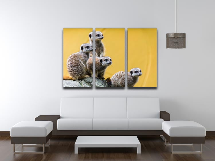 A group of meerkats seen on top of a rock 3 Split Panel Canvas Print - Canvas Art Rocks - 3