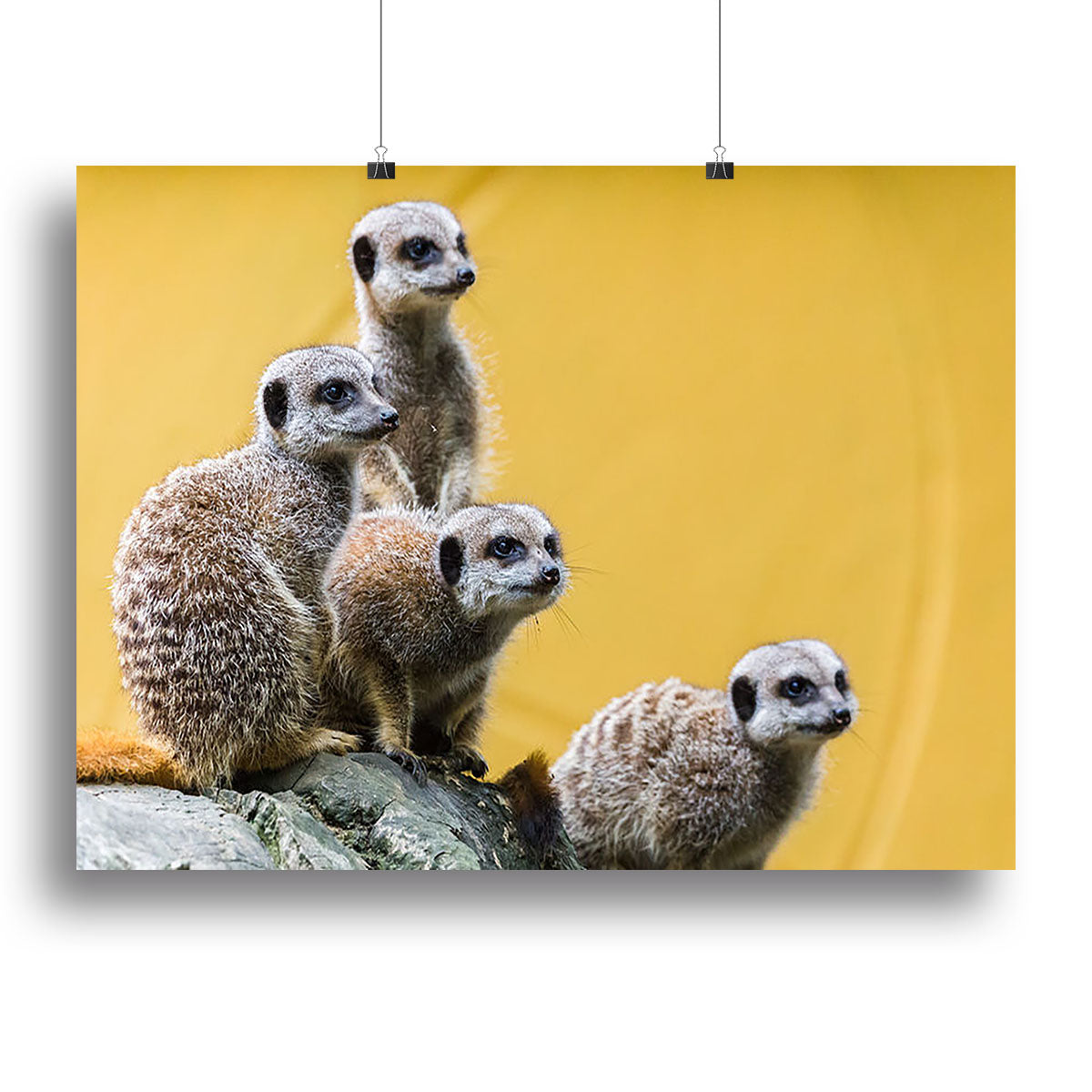 A group of meerkats seen on top of a rock Canvas Print or Poster - Canvas Art Rocks - 2