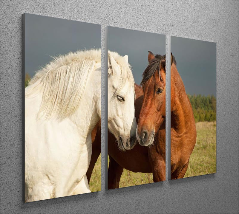 A pair of horses showing affection 3 Split Panel Canvas Print - Canvas Art Rocks - 2