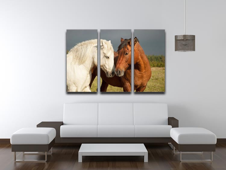 A pair of horses showing affection 3 Split Panel Canvas Print - Canvas Art Rocks - 3