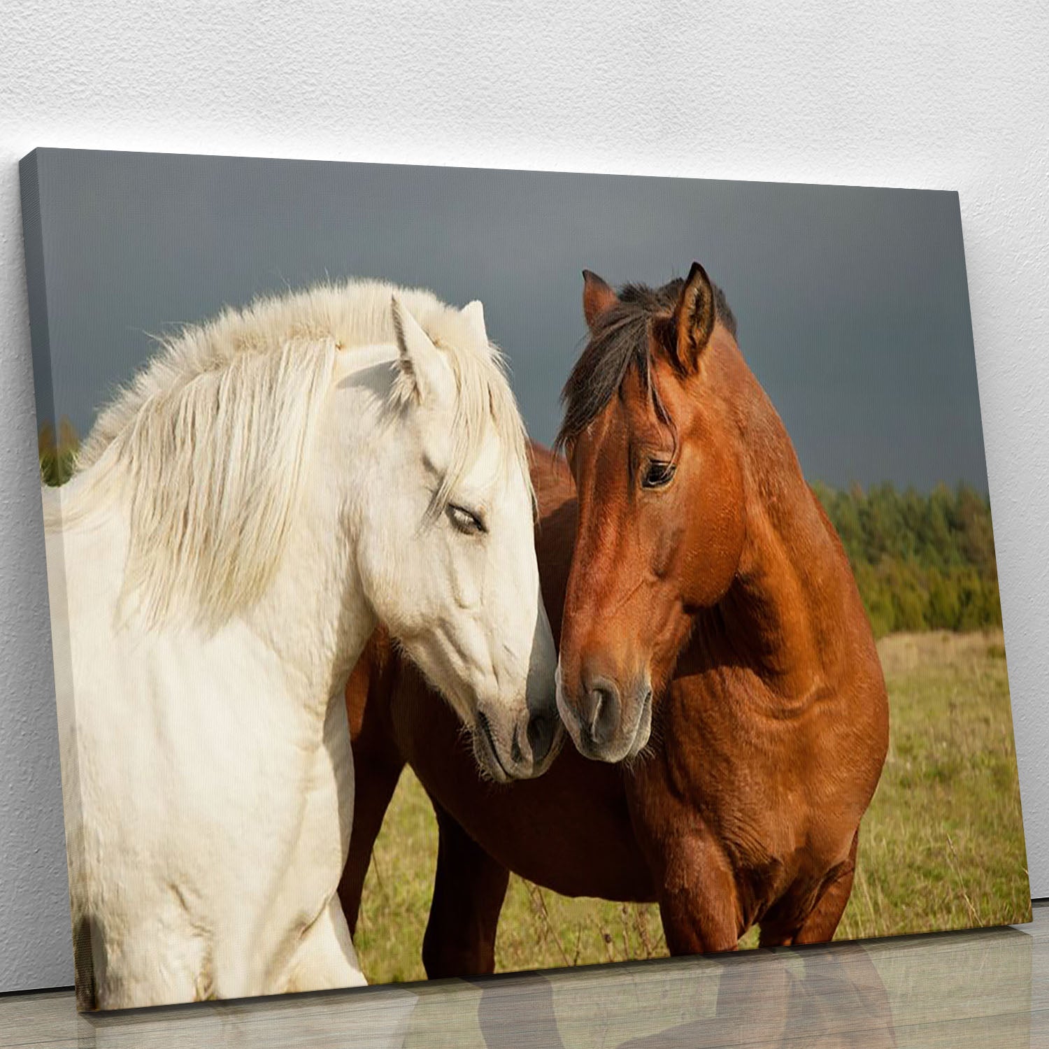 A pair of horses showing affection Canvas Print or Poster - Canvas Art Rocks - 1