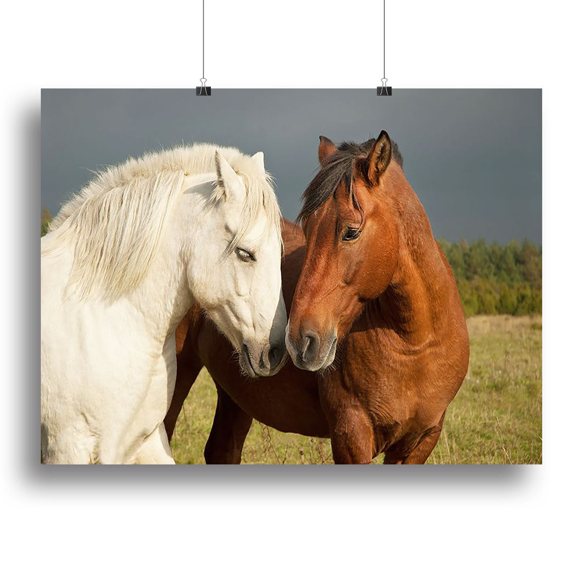 A pair of horses showing affection Canvas Print or Poster - Canvas Art Rocks - 2