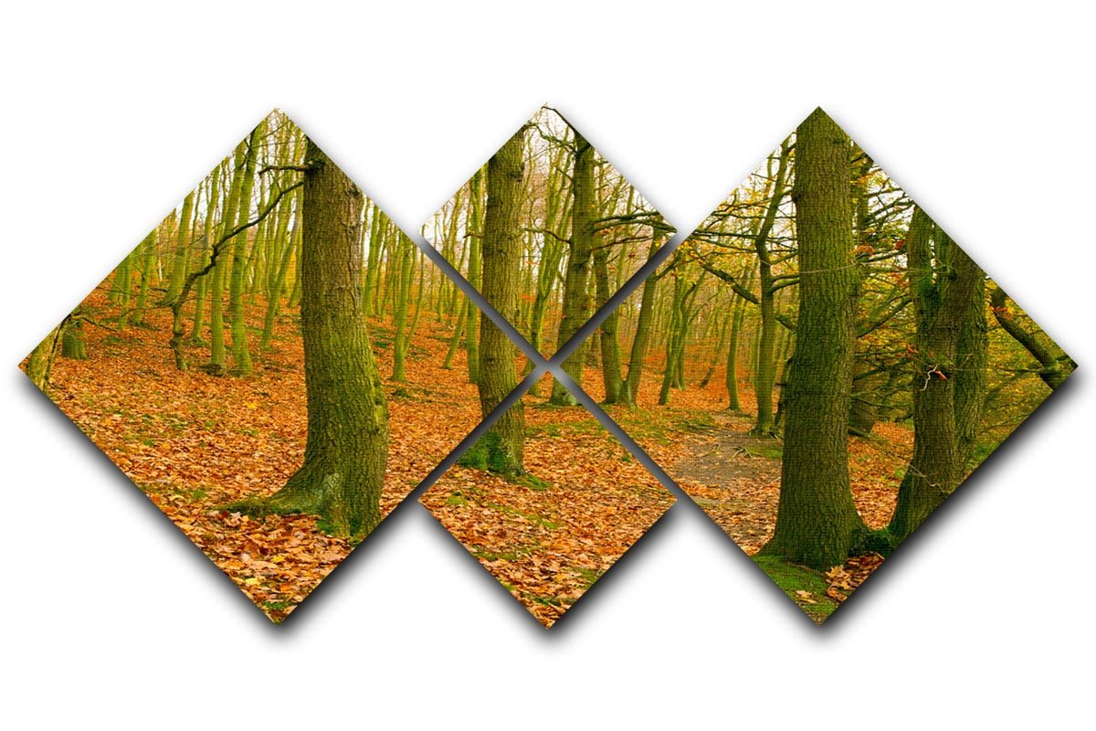 A path through the woods at Haw park 4 Square Multi Panel Canvas  - Canvas Art Rocks - 1
