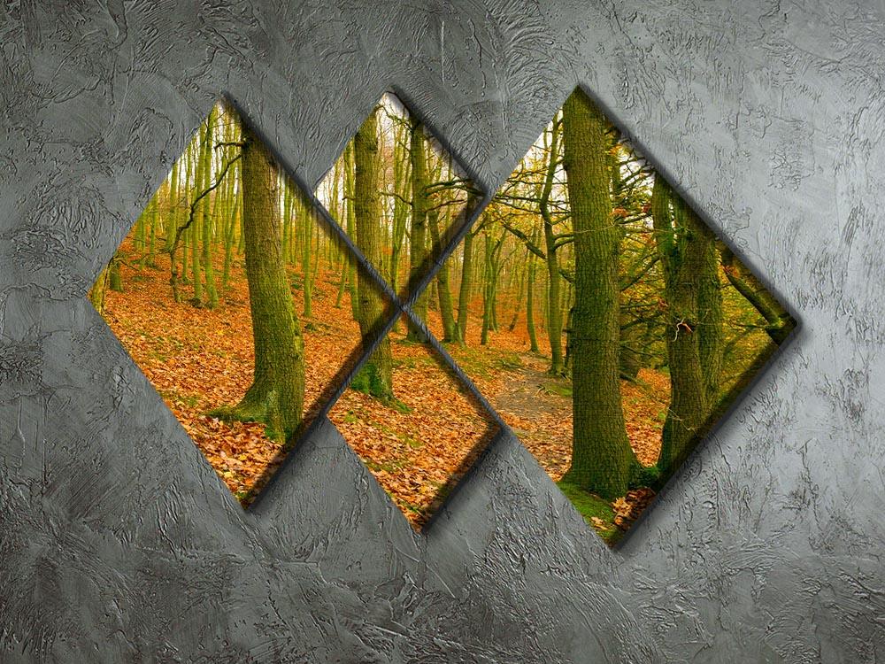 A path through the woods at Haw park 4 Square Multi Panel Canvas  - Canvas Art Rocks - 2