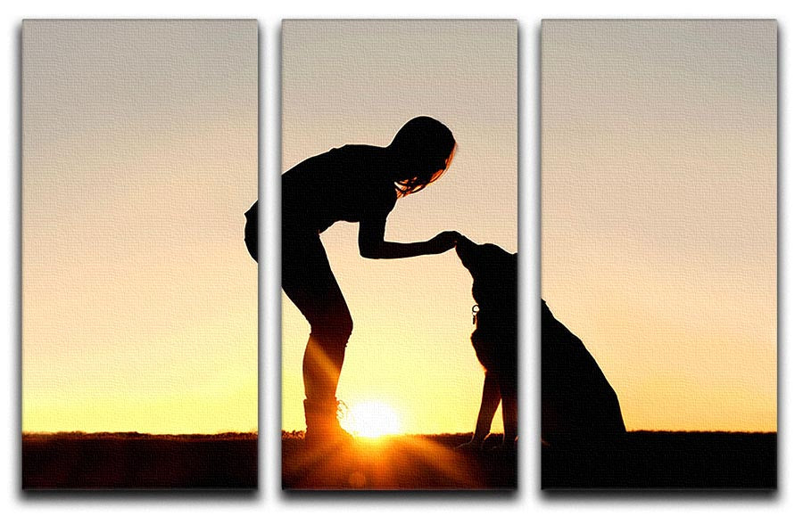 A silhouette of a girl sitting outside in the grass with her pet German Shepherd Mix Dog feeding him treats during training in front of a sunsetting sky. 3 Split Panel Canvas Print - Canvas Art Rocks - 1