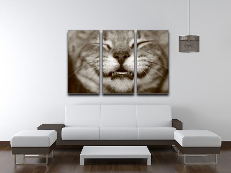 A smiling kitten 3 Split Panel Canvas Print - Canvas Art Rocks - 3