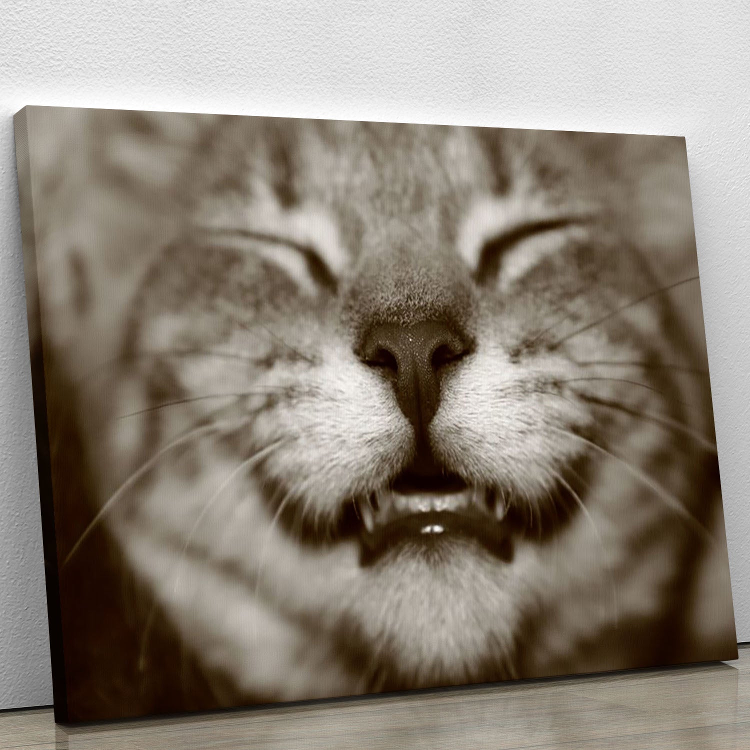 A smiling kitten Canvas Print or Poster - Canvas Art Rocks - 1