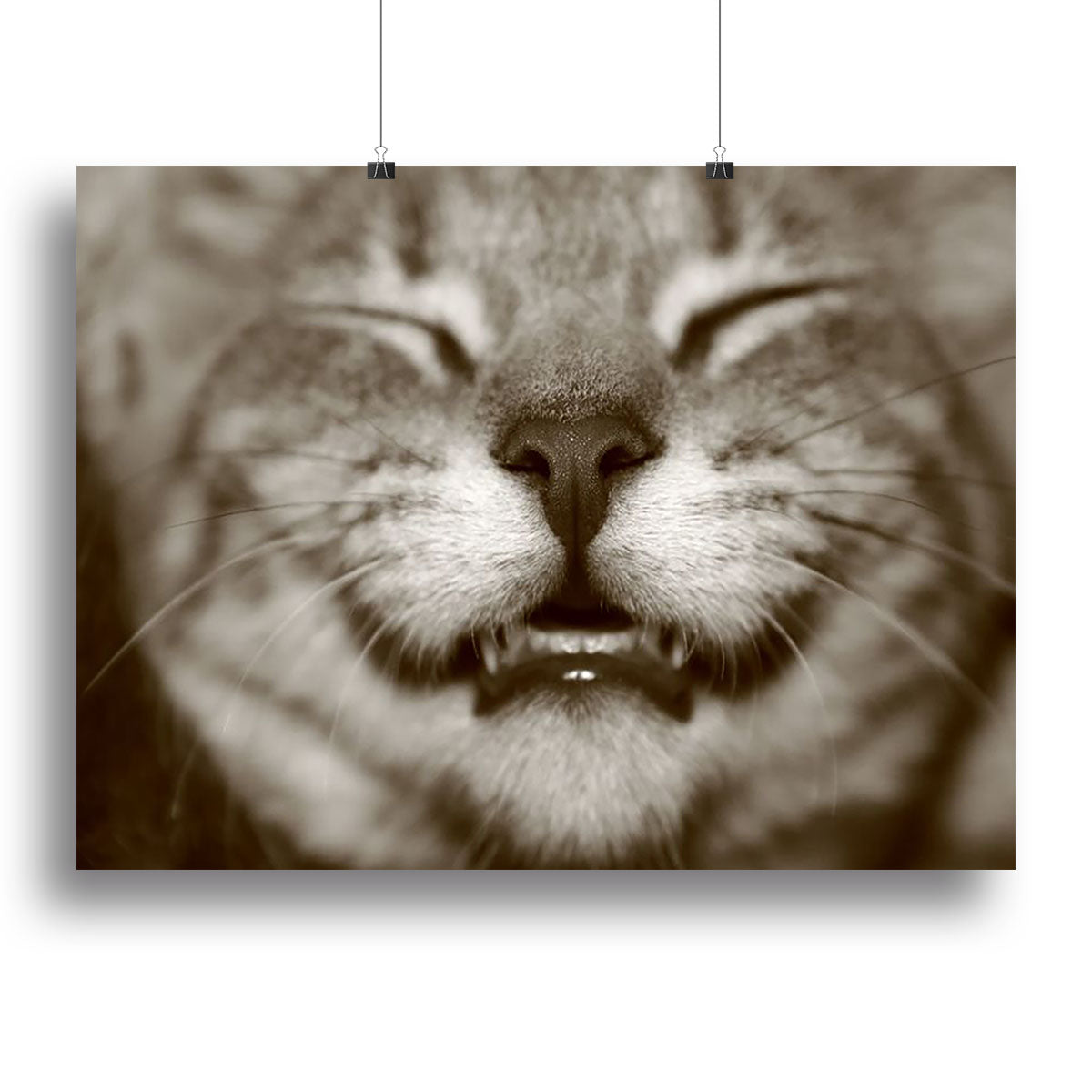 A smiling kitten Canvas Print or Poster - Canvas Art Rocks - 2