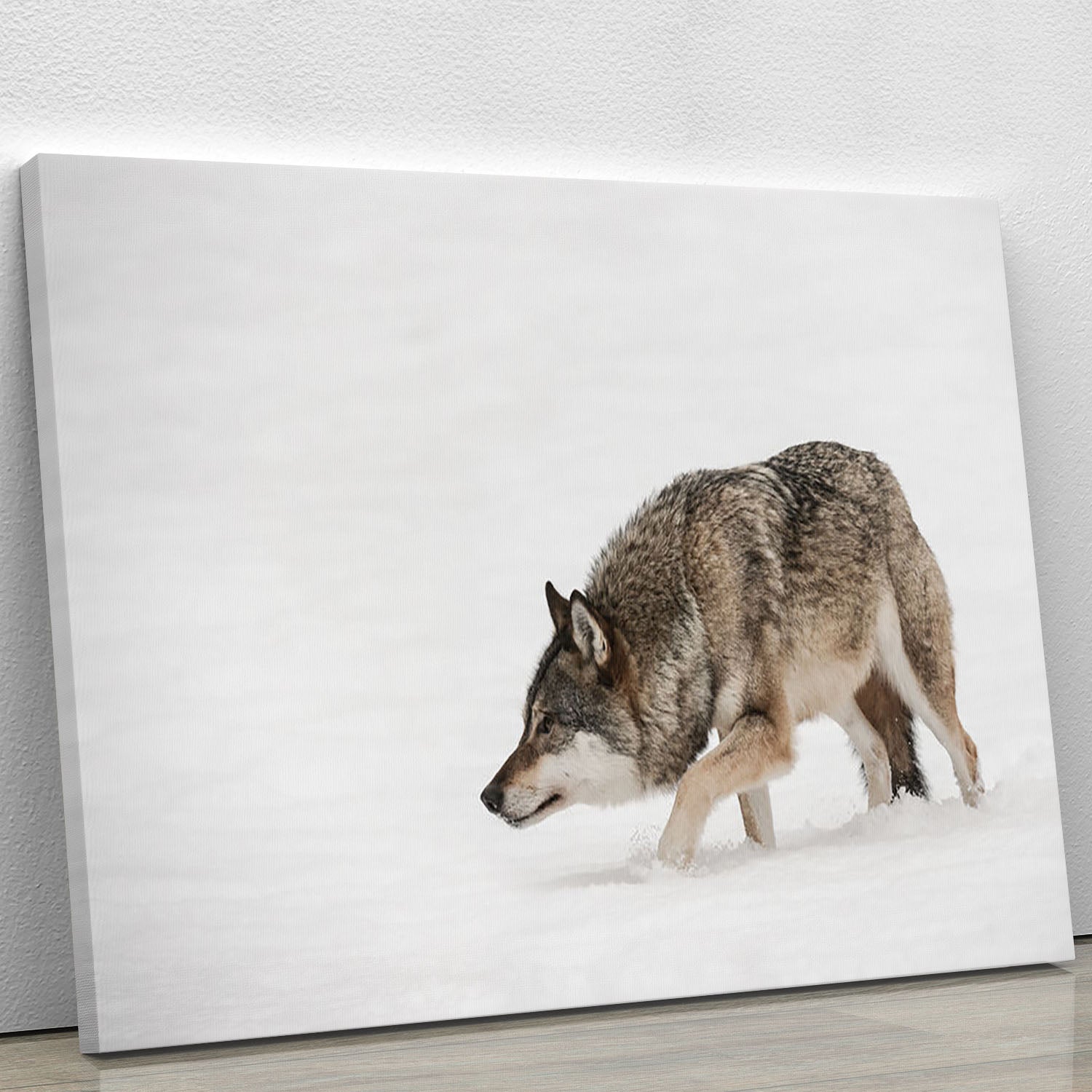 A solitary lone wolf prowls through snow Canvas Print or Poster - Canvas Art Rocks - 1