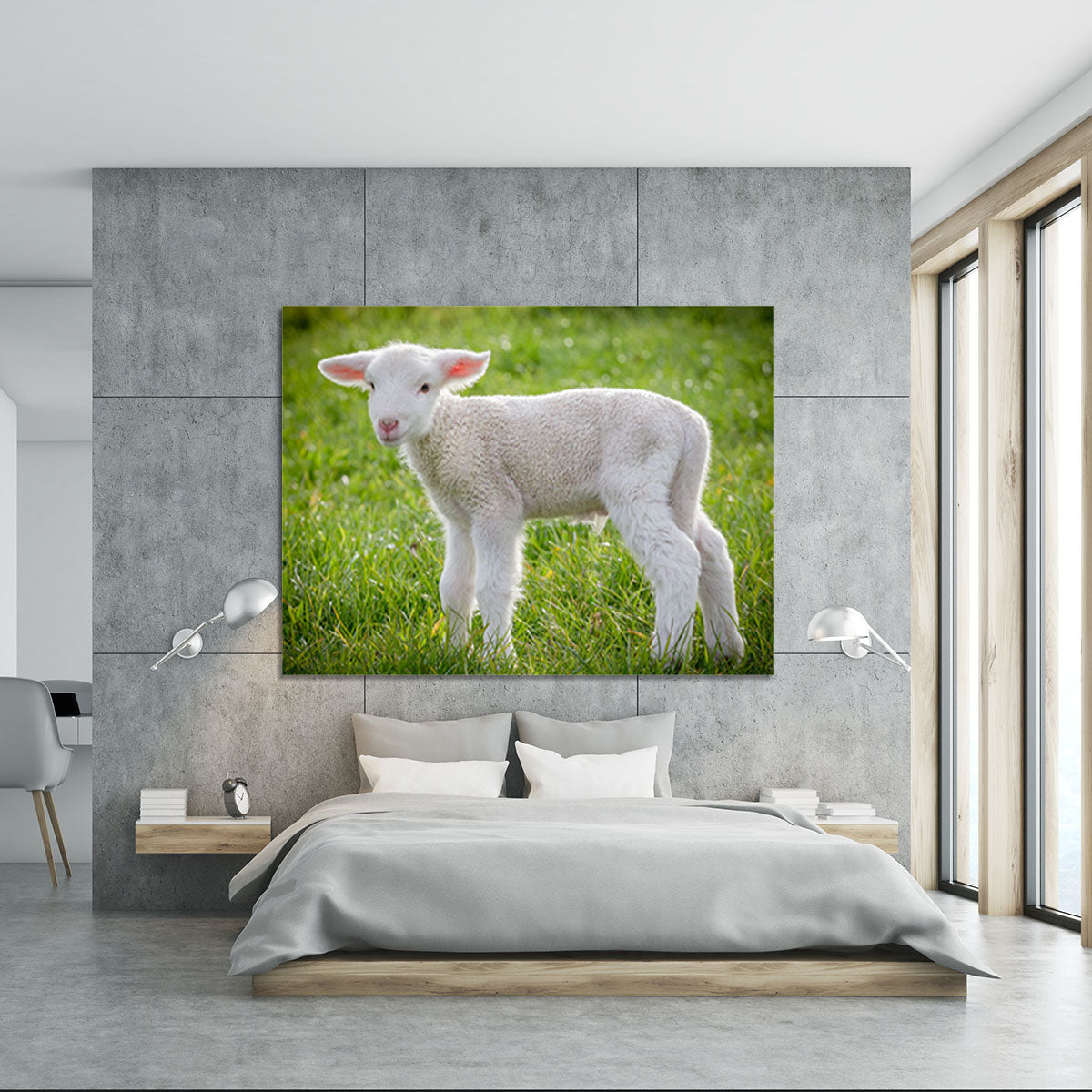 A white suffolk lamb Canvas Print or Poster - Canvas Art Rocks - 5
