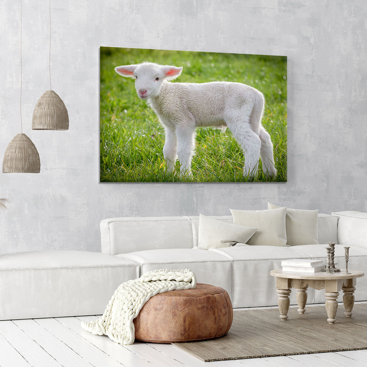 A white suffolk lamb Canvas Print or Poster - Canvas Art Rocks - 6