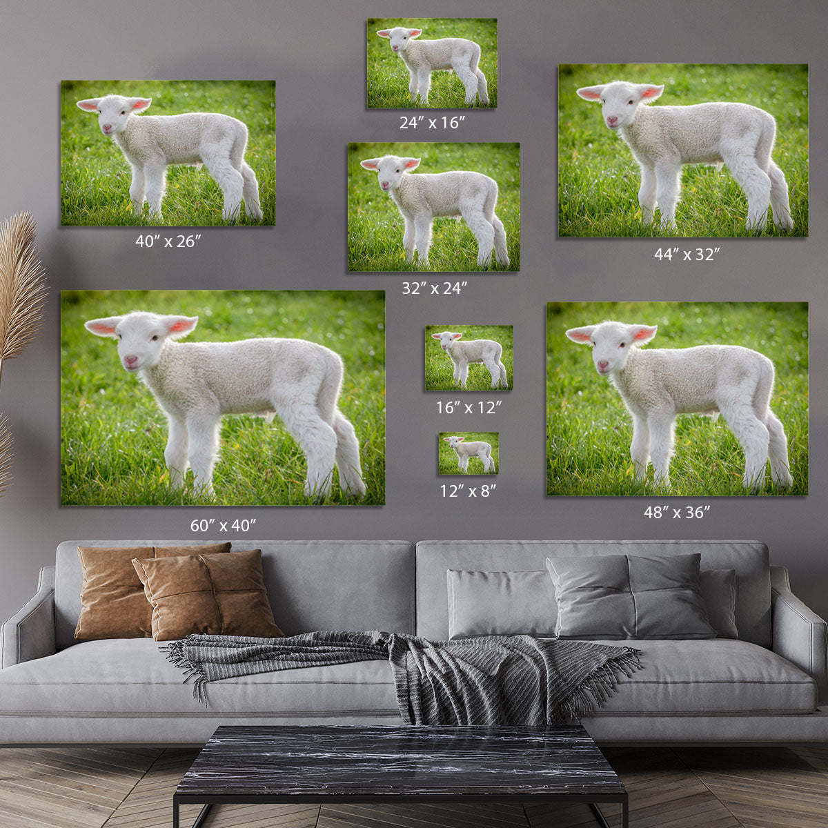 A white suffolk lamb Canvas Print or Poster - Canvas Art Rocks - 7