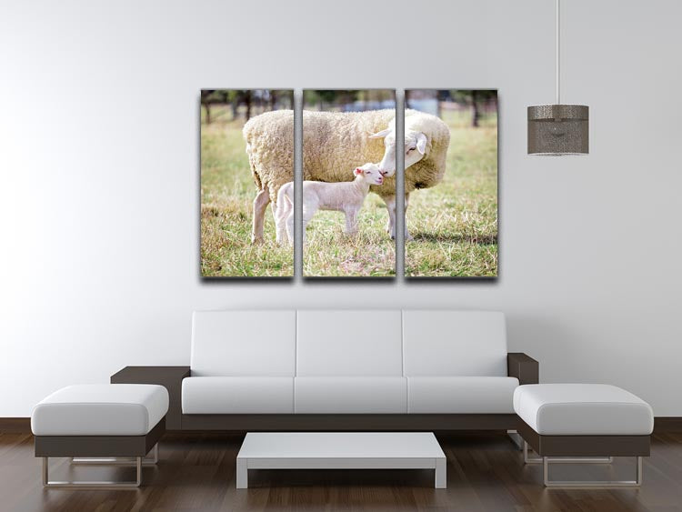 A white suffolk sheep with a lamb 3 Split Panel Canvas Print - Canvas Art Rocks - 3