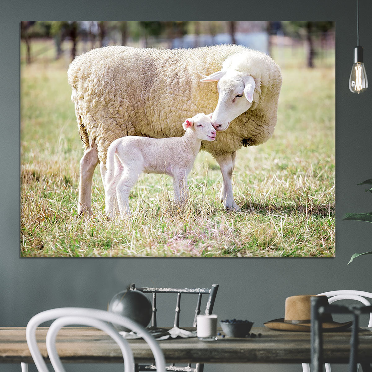 A white suffolk sheep with a lamb Canvas Print or Poster - Canvas Art Rocks - 3