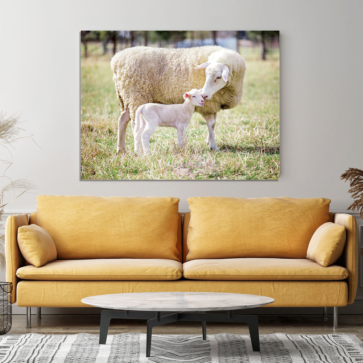 A white suffolk sheep with a lamb Canvas Print or Poster - Canvas Art Rocks - 4