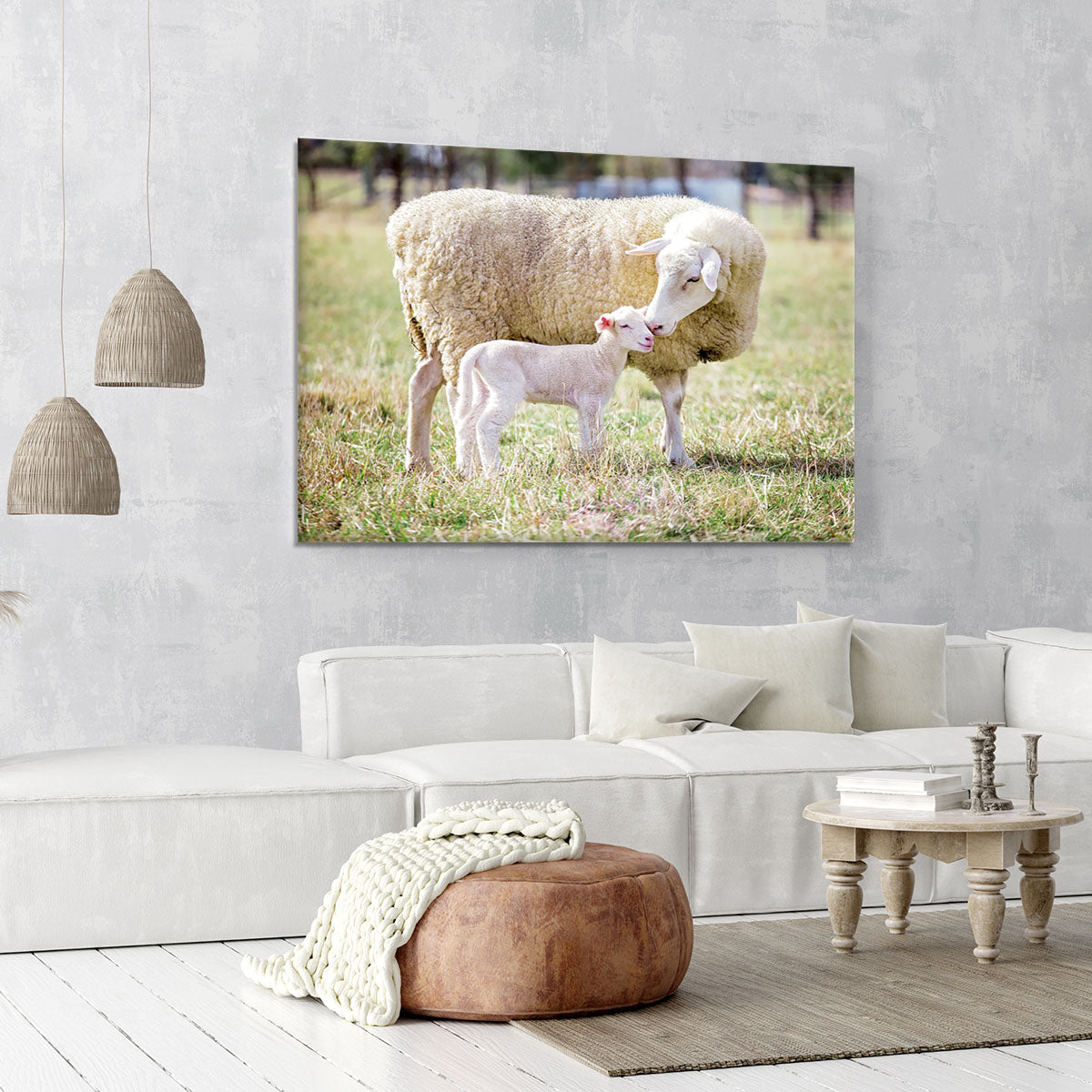 A white suffolk sheep with a lamb Canvas Print or Poster - Canvas Art Rocks - 6