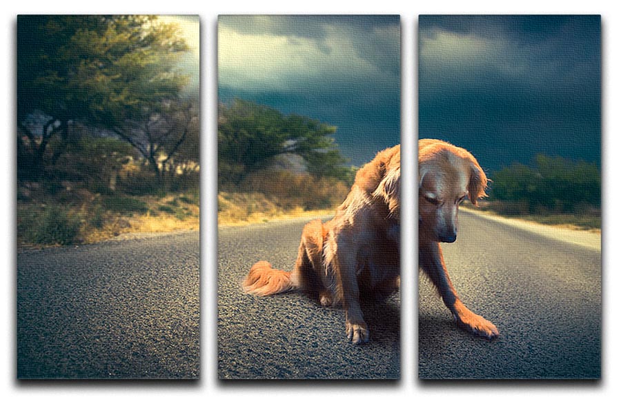 Abandoned dog in the middle of the road 3 Split Panel Canvas Print - Canvas Art Rocks - 1