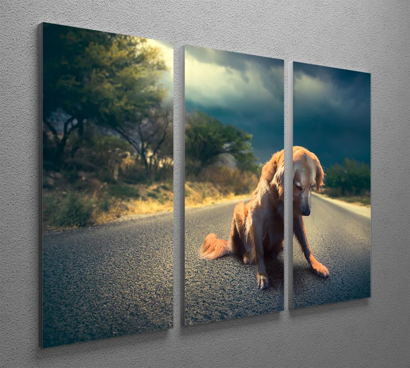 Abandoned dog in the middle of the road 3 Split Panel Canvas Print - Canvas Art Rocks - 2