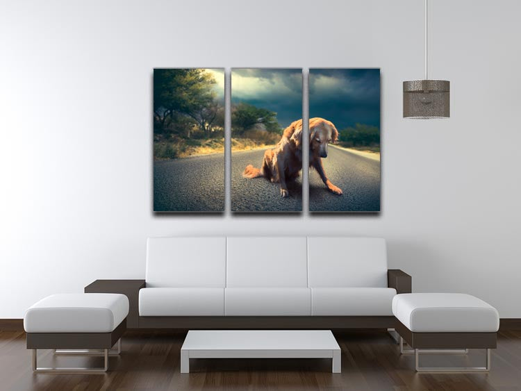 Abandoned dog in the middle of the road 3 Split Panel Canvas Print - Canvas Art Rocks - 3